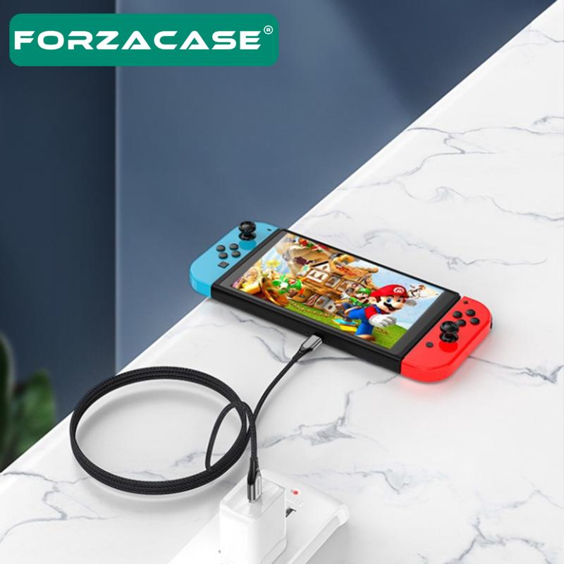 Forzacase Type-C to Type-C 60W 3A PD Hızlı Şarj ve Data Kablosu 1m - FC066