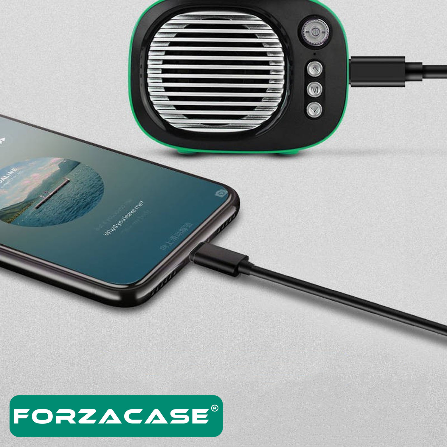 Forzacase iPhone iPad Lightning to 3.5 mm Aux Çevirici Ses Aktarım Kablosu 1m - FC070
