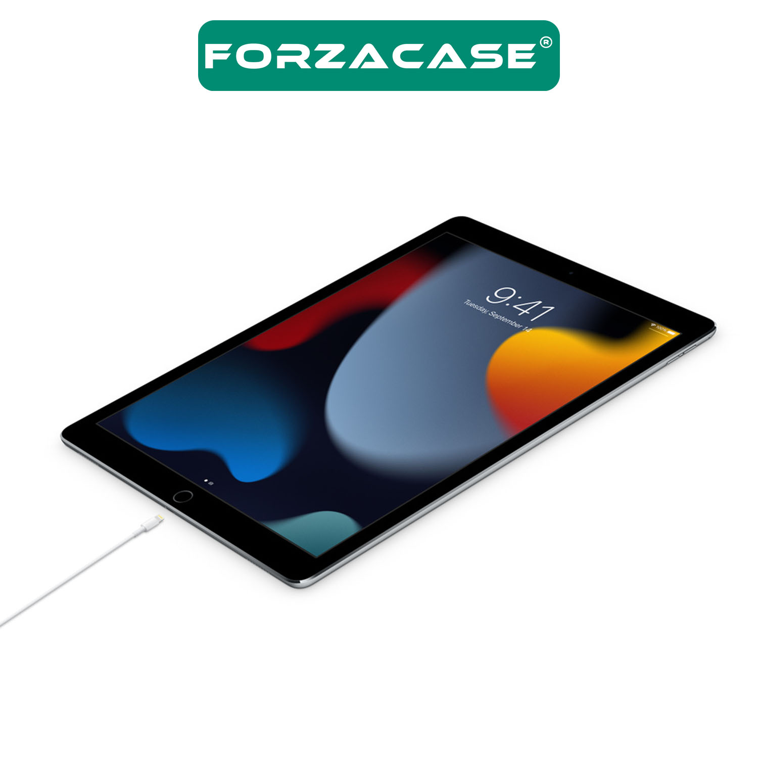 Forzacase iPhone Lightning USB Şarj ve Data Kablosu 2m - FC073