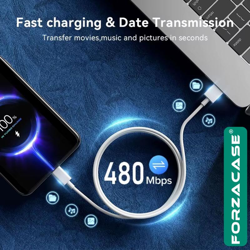Forzacase iPad 2022 2024 2025 ile uyumlu Hızlı Şarj Destekli 120W Type-C USB Şarj Cihazı Seti FC1025