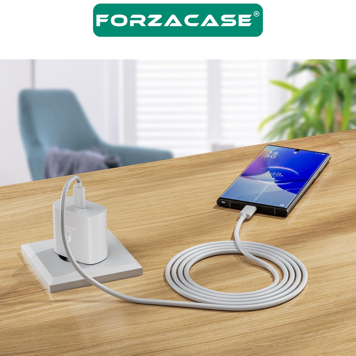 Forzacase Xiaomi - Redmi - Mi ile uyumlu Hızlı Şarj 25W Type-C to Type-C Şarj Cihazı Seti - FC1026