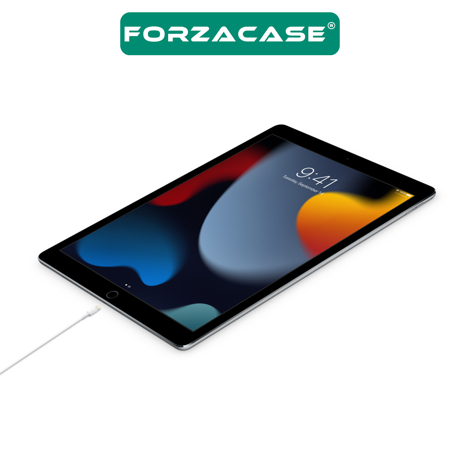 Forzacase iPad Tabletler ile uyumlu 20W Type-C to Lightning PD Şarj ve Data Kablosu 1 metre - FC1029
