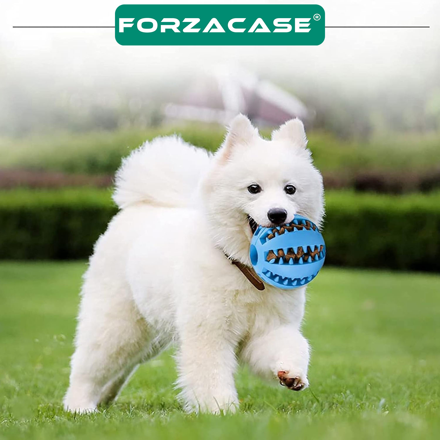 Forzacase Kauçuk Mama Hazneli Diş Temizleyici Köpek Eğitim Ve Oyun Topu - FC1076