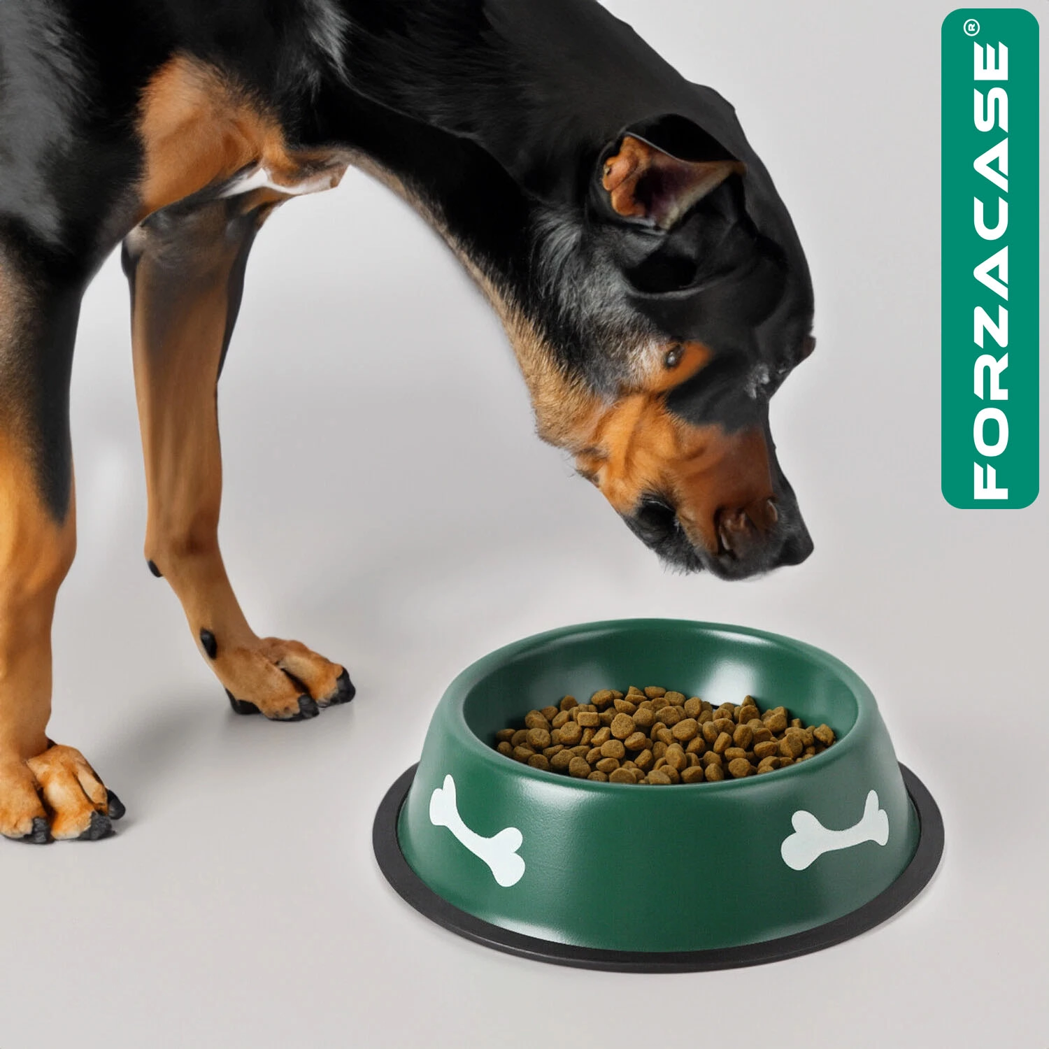 Forzacase 16 cm 250 ml Kediler ve Köpekler için Taşınabilir Pratik Metal Mama ve Su Kabı - FC1174