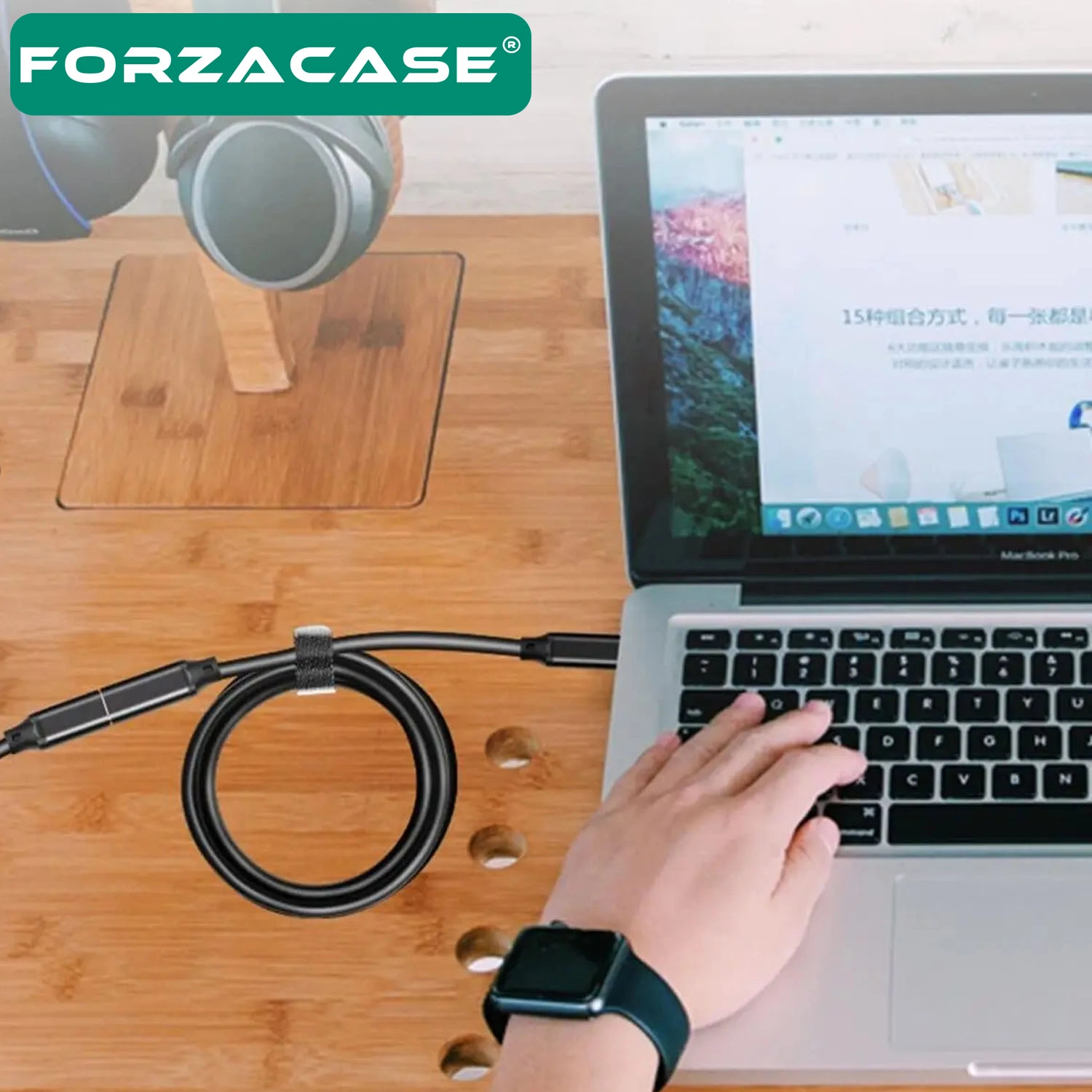 Forzacase Type-C Uzatma Kablosu 1 Metre Hızlı Şarj ve Veri Aktarım Destekli - FC1195