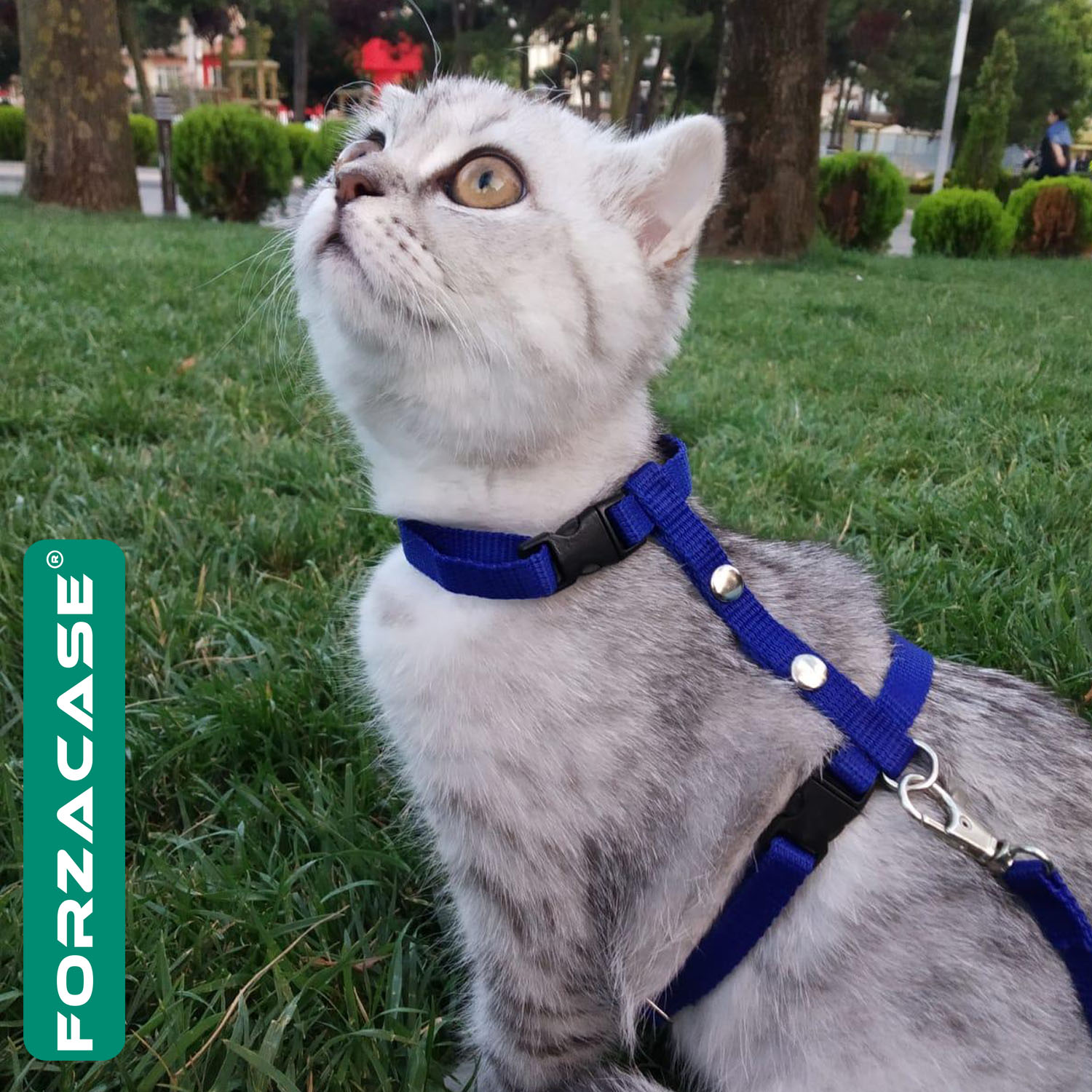 Forzacase Ayarlanabilir Kedi Tasması Çok Fonksiyon Boyun ve Göğüs Tasması - FC134