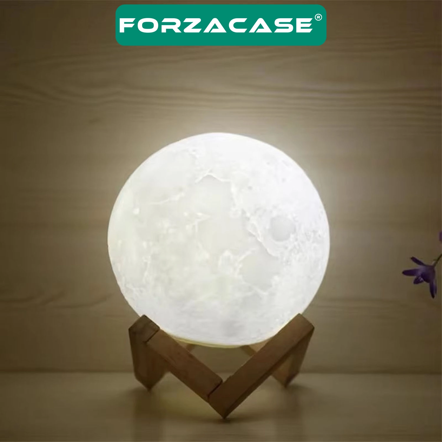 Forzacase Masaüstü Ayaklı 3D Ay Işığı Gece Lambası Beyaz Işıklı Pilli 15 cm - FC188