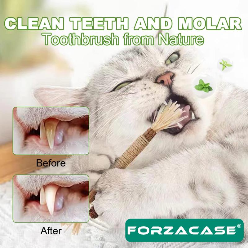 Forzacase Ahşap Diş Temizleyici Çıngıraklı Matatabi Oyun Topu 7,5cm - FC421