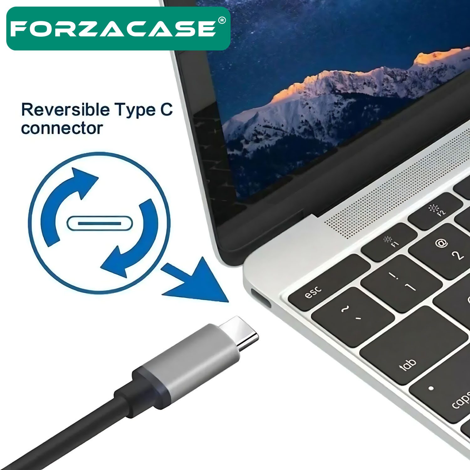 Forzacase Type-C 4K Ultra Full HD 60Hz HDTV Görüntü Aktarım Kablosu Macbook Telefon uyumlu - FC832