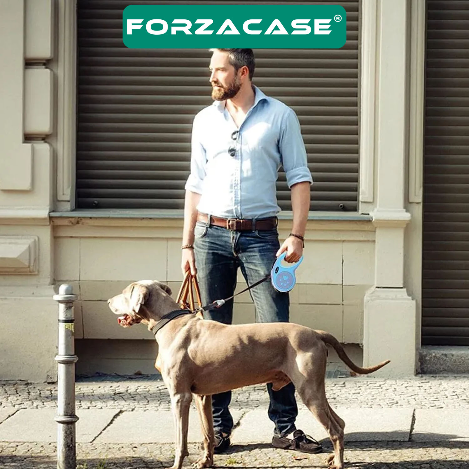 Forzacase Pati Desenli 3 Metre Otomatik Geri Çekilebilir Köpek Tasması Karışık Renk 1 Adet - FC859