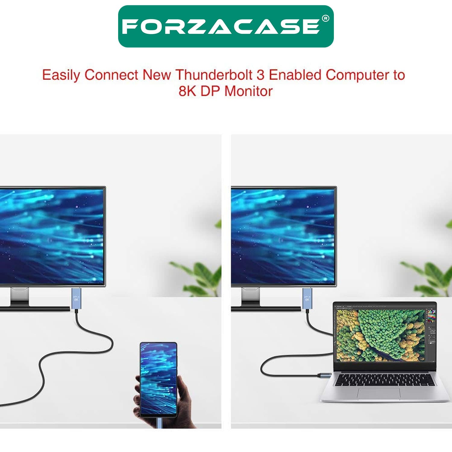 Forzacase Type-C to DP Kablo 8K 60hz / 4K 120hz Görüntü Aktarıcı Kablo 2 metre - FC894