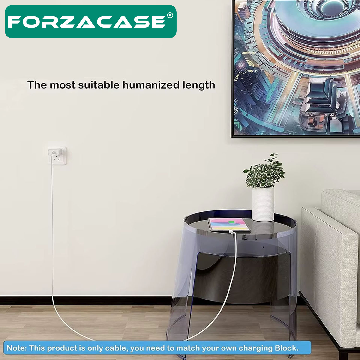 Forzacase 100W Type-C to Type-C PD Şarj ve Data Kablosu 5 metre - FC969